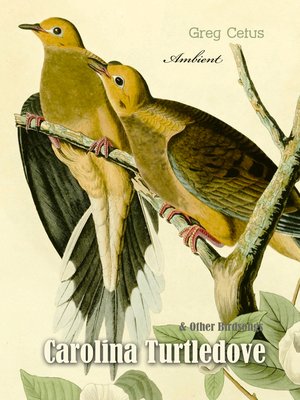cover image of Carolina Turtledove and Other Birdsongs